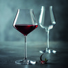 Reveal 'up Intense Wine 55cl - 19 1/4oz