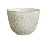 Rocaleo Sand Low Cup 20cl - 7oz