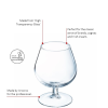 Degustation Brandy / Cognac 25cl - 8 3/4oz