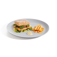 Evolutions Granit Dinner Plate 25cm - 9 3/4"