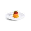Restaurant Dinner Plate 22.6cm - 8 3/4"