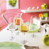 Equip Home Wine 24cl - 8 1/2oz