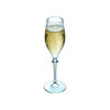 Destinée Flute 21cl - 7oz