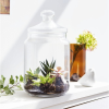 Pure Big Club Jar + Lid 1.5lL