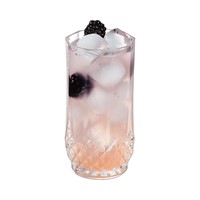 Longchamp Hiball 28cl - 9 3/4oz