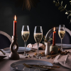 Wine Emotions Flute 24cl