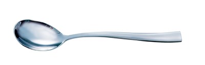 Alabama Tea Spoon 18/10