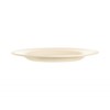Intensity Plate 6 1/4"