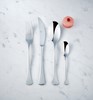 Zya Dinner / Table Fork 18/10