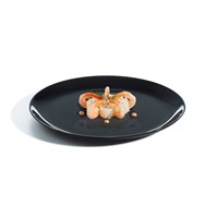 Evolutionc Black Dinner Plate 25cm - 9 3/4"