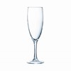 Princesa Flute (t) 15cl - 5 1/4oz