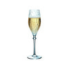 Destinée Flute 21cl - 7oz