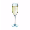 Serena Lines Flute 20cl - 7oz
