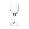 Sensation Exalt Wine 25cl - 8 3/4oz Lce 175ml