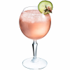 Monti Gin & Cocktail Copa 58cl - 20 1/4oz