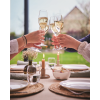 Grands Chais Flute 24cl - 8 1/2oz