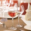 Cabernet Tulip Wine 58cl - 20 1/4oz