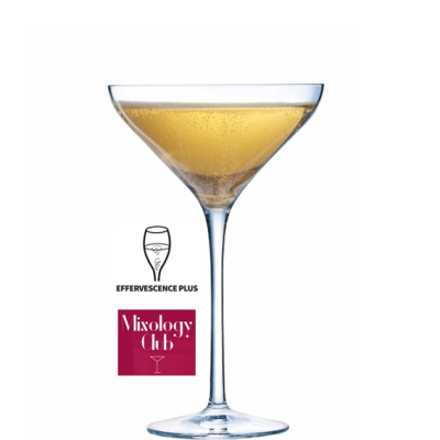 Coupe Martini 21cl - 7 1/2oz