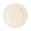 Intensity Plate 6 1/4"