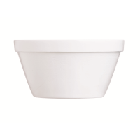 Restaurant Bowl 120