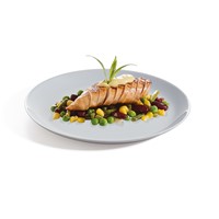 Evolutions Granit Dinner Plate 27cm - 10 1/2"