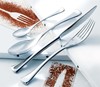 Diaz Dinner / Table Fork 18/10