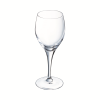 Sensation Exalt Wine 25cl LCE175ml