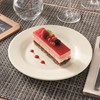 Intensity Plate 6 1/4"