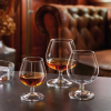 Degustation Brandy / Cognac 41cl - 14 1/2oz