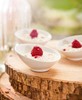 Appetizer Ludico Dish 9.5cm 3 3/4"