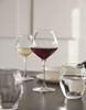 Macaron Fascination Wine 60cl - 21oz