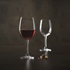Cabernet Tulip Wine 58cl - 20 1/4oz