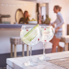 Vina Gin & Cocktail Glass 70cl - 24 1/2 Oz