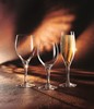 Sensation Exalt Flute* 19cl - 6 3/4oz