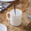 Evolution White Mug 32cl