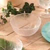 Aspen Bowl (t) 12cm - 4 3/4"
