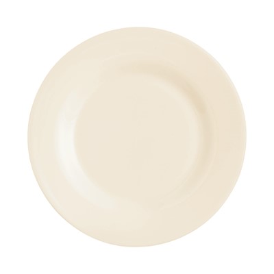 Intensity Plate 6 1/4"