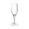 Sensation Exalt Flute* 19cl - 6 3/4oz