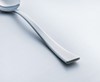 Alabama Sand Dessert Spoon 18/10