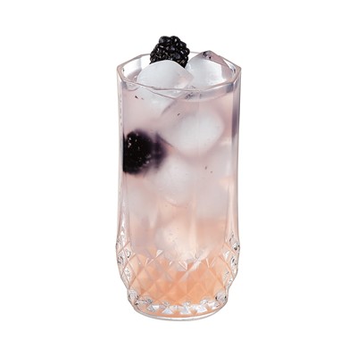 Longchamp Hiball 28cl - 9 3/4oz