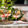 Vina Gin & Cocktail Glass 70cl - 24 1/2 Oz