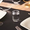 Salto Shot 6cl - 2 Oz