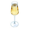 Reveal 'up Flute* 21cl - 7 1/2oz